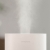 Увлажнитель воздуха Xiaomi Smartmi Zhimi Air Humidifier 2.25L (JSQ01ZM)