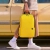 Рюкзак Xiaomi Mi Colorful Mini Backpack (20L, желтый)