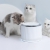 Дозатор воды для кошек Xiaomi Xiaocheng Smart Cat Water Dispenser