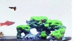 коралл для аквафермы xiaomi geometry ecological fish tank landscaping rockery