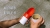 Портативная поилка для животных Xiaomi Moestar Rocket Portable Pet Cup Gray 213ml (серый)